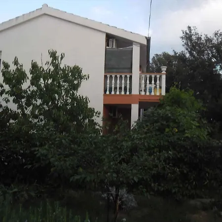 In Zaton/zadar 17884 *