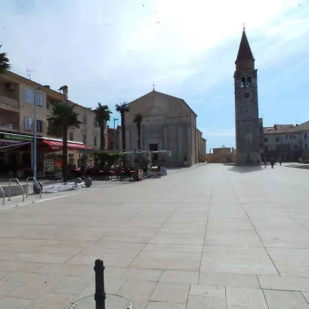 In Zaton/zadar 17884 *